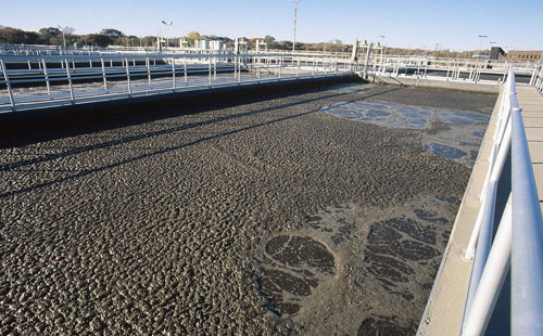 上海梓意水處理消泡劑 上海梓意水處理消泡劑